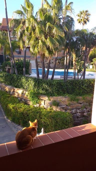 Planta Baja Cerca De La Playa Casares Costaアパートメント エクステリア 写真